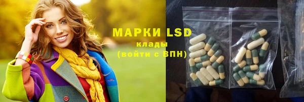 PSILOCYBIN Майский