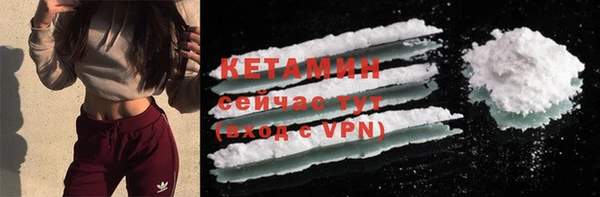 PSILOCYBIN Майский