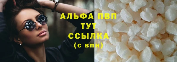 ГАЛЛЮЦИНОГЕННЫЕ ГРИБЫ Магадан