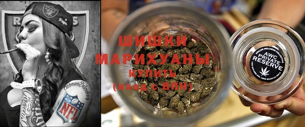 PSILOCYBIN Майский