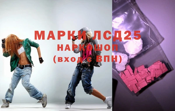 PSILOCYBIN Майский