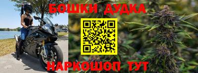 индика Балахна