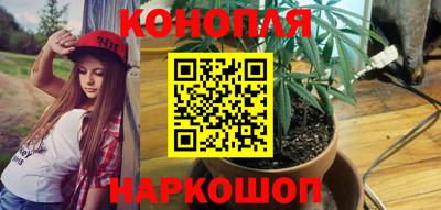 амф Кимры