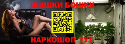 гашик Заводоуковск