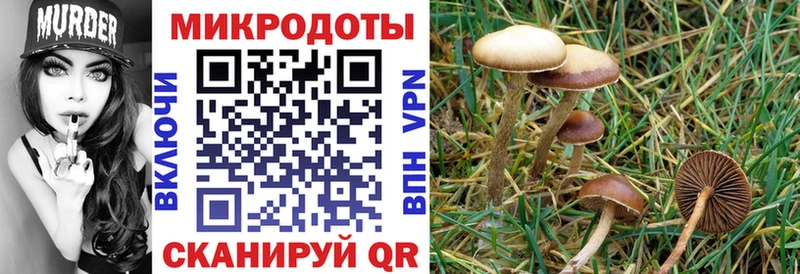 где продают наркотики  ОМГ ОМГ ссылка  Псилоцибиновые грибы мицелий  Новомосковск 