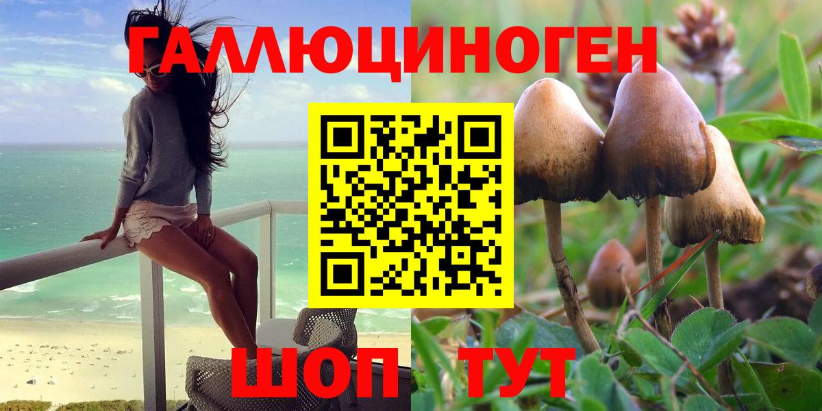 Псилоцибиновые грибы MAGIC MUSHROOMS Новомосковск