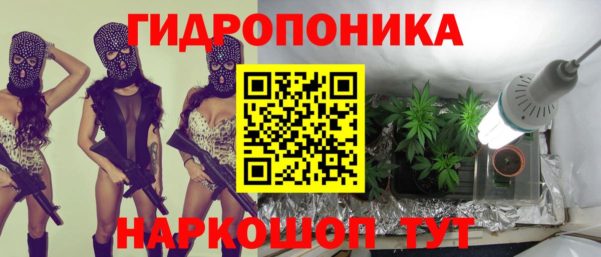 Конопля OG Kush  Новомосковск  Бошки марихуана план  Каннабис SATIVA & INDICA 